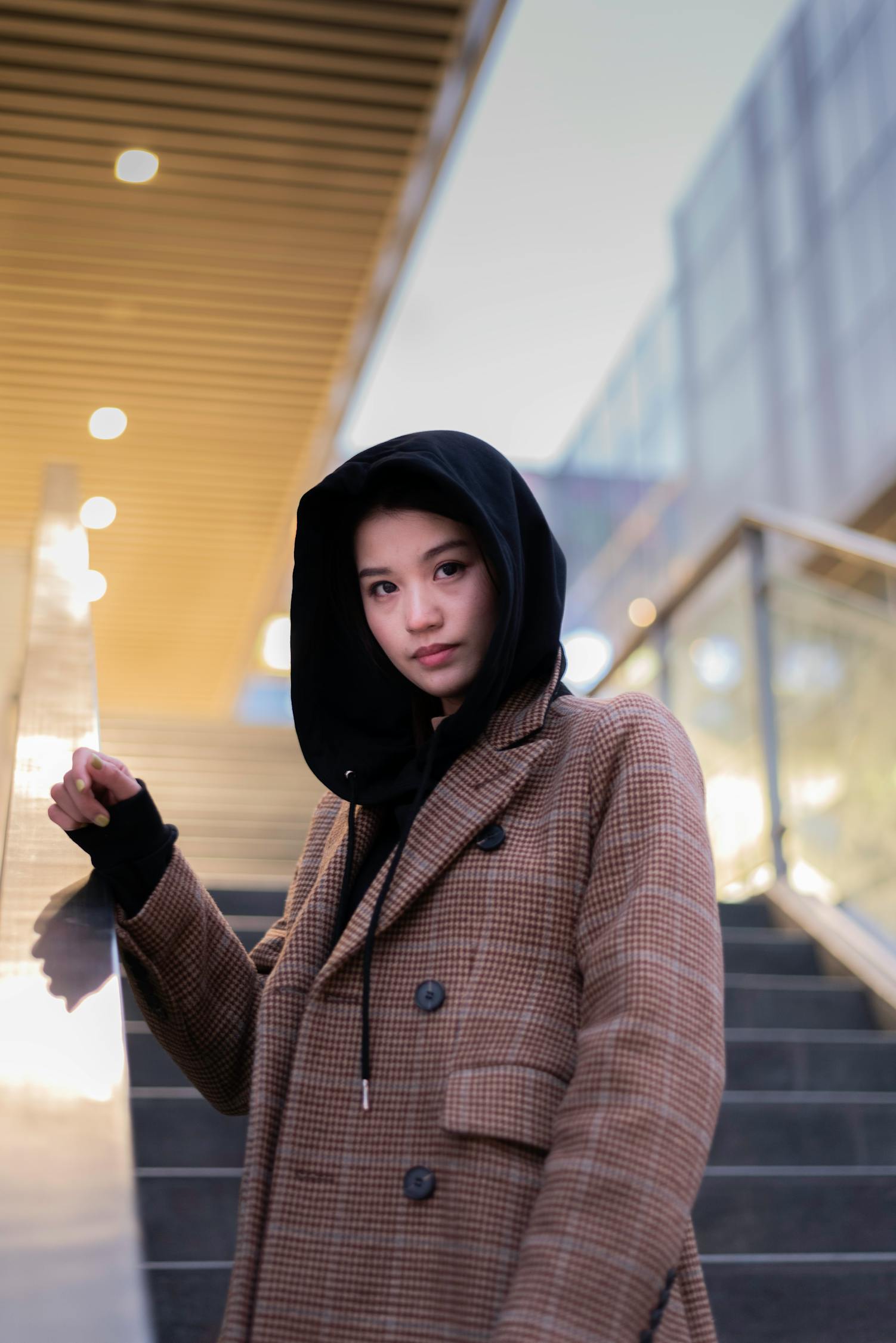 檸檬初上演員表及角色魅力深度解析