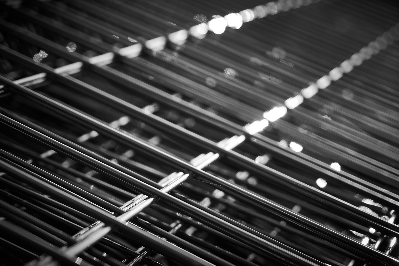 象牙行情，歷史變遷與現(xiàn)代展望