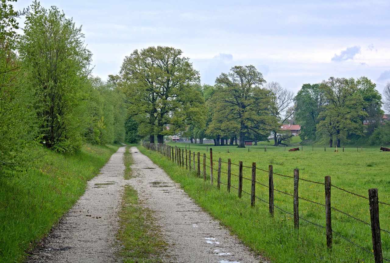 醉玲瓏持續(xù)領(lǐng)跑收視排行，再創(chuàng)佳績(jī)的新動(dòng)態(tài)