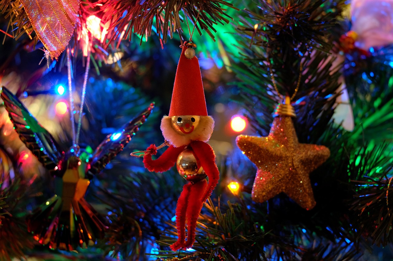 動漫倫理在線觀看，文化現(xiàn)象下的深度探討