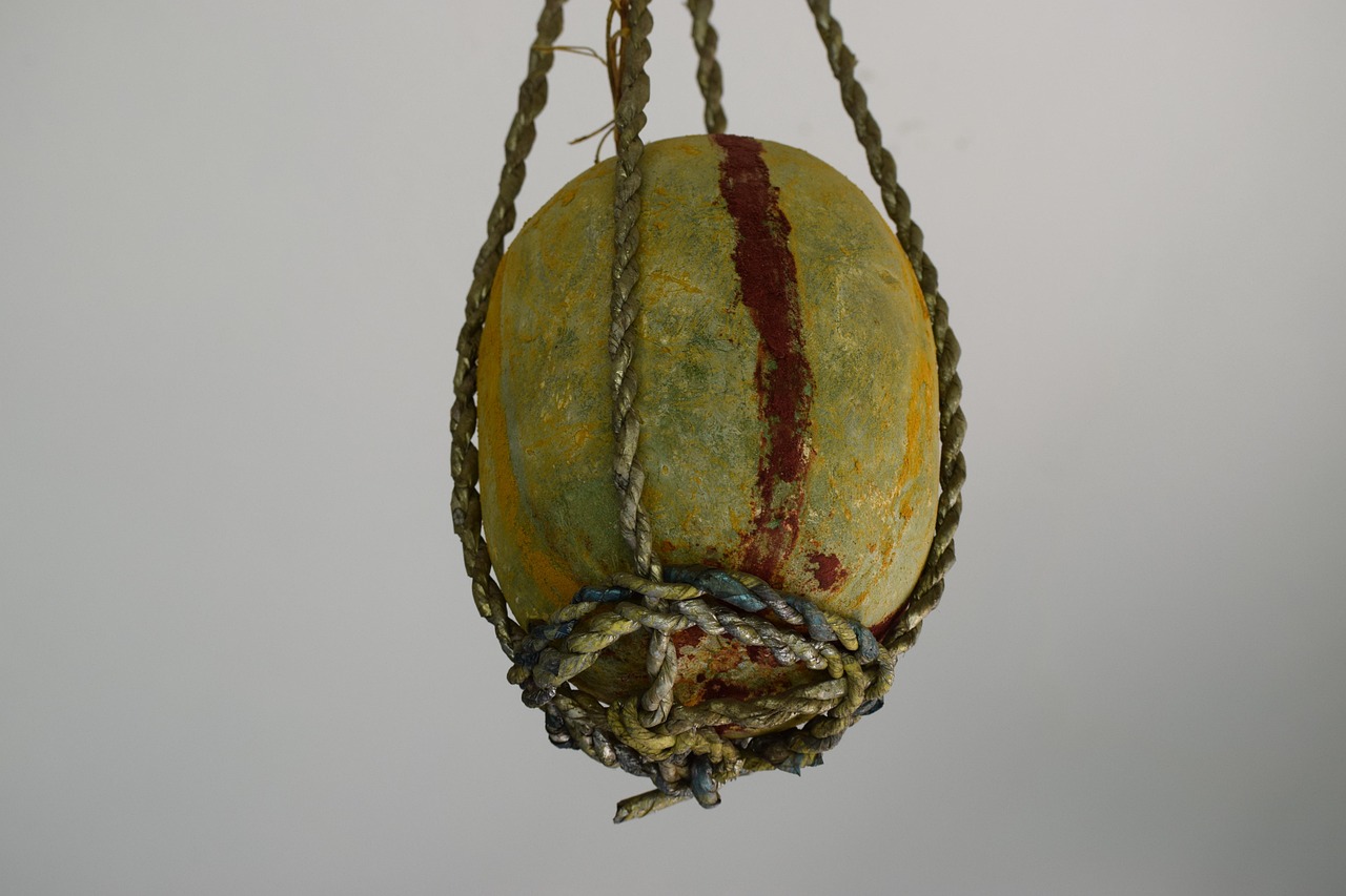 六安動漫城最新動態(tài)，繁榮發(fā)展的文化產(chǎn)業(yè)新地標，成為新焦點