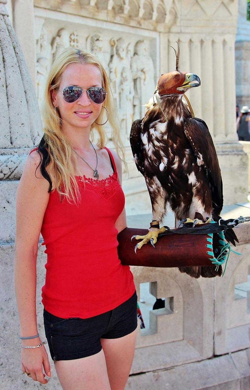 德國疫情最新動態(tài)，挑戰(zhàn)、應(yīng)對策略全解析