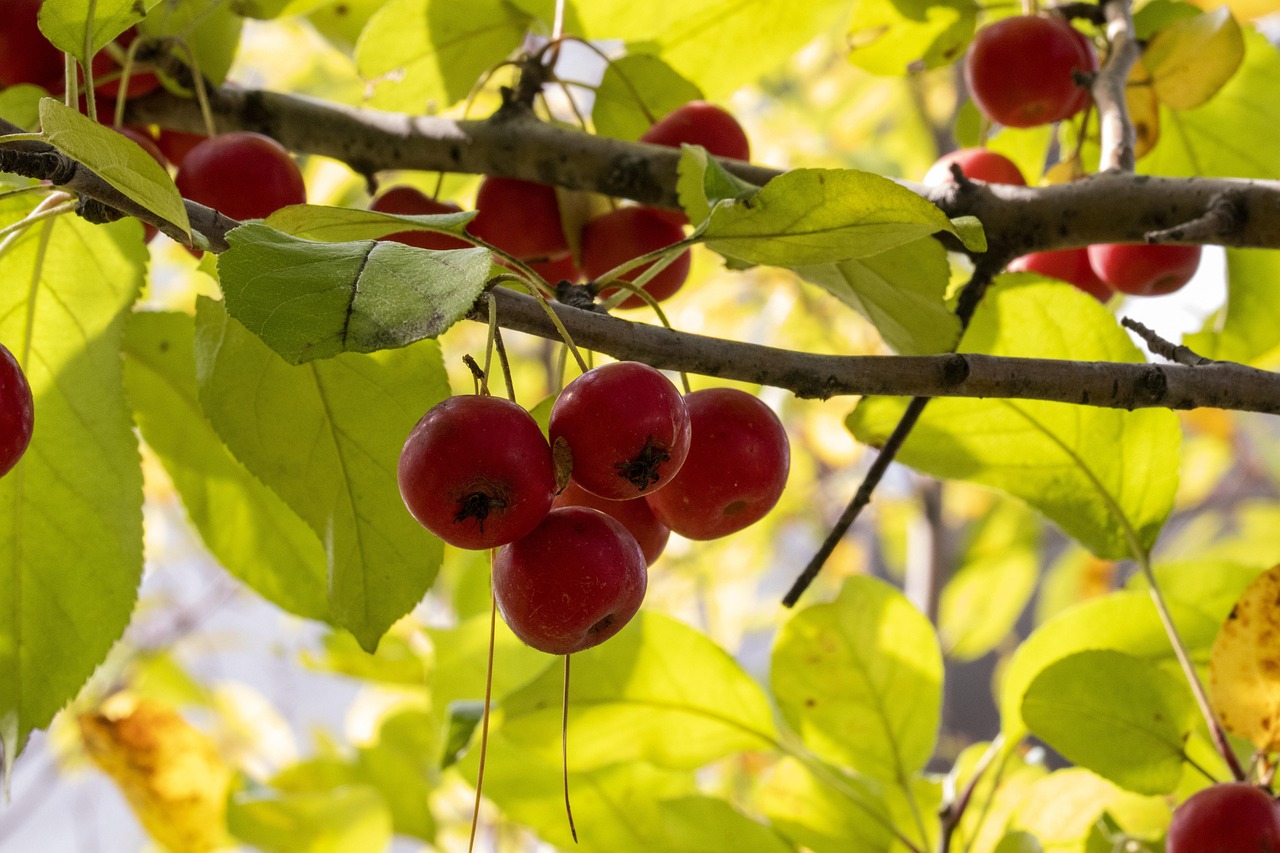 遠遠的望去 第3頁