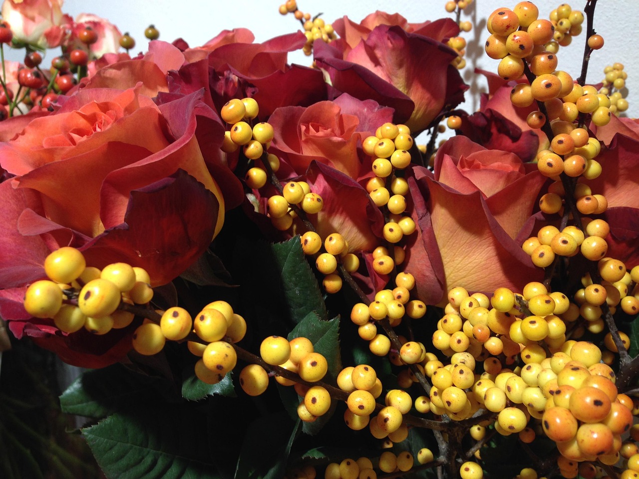 低調組合最新動態(tài)揭秘，音樂界的靜水流深之旅