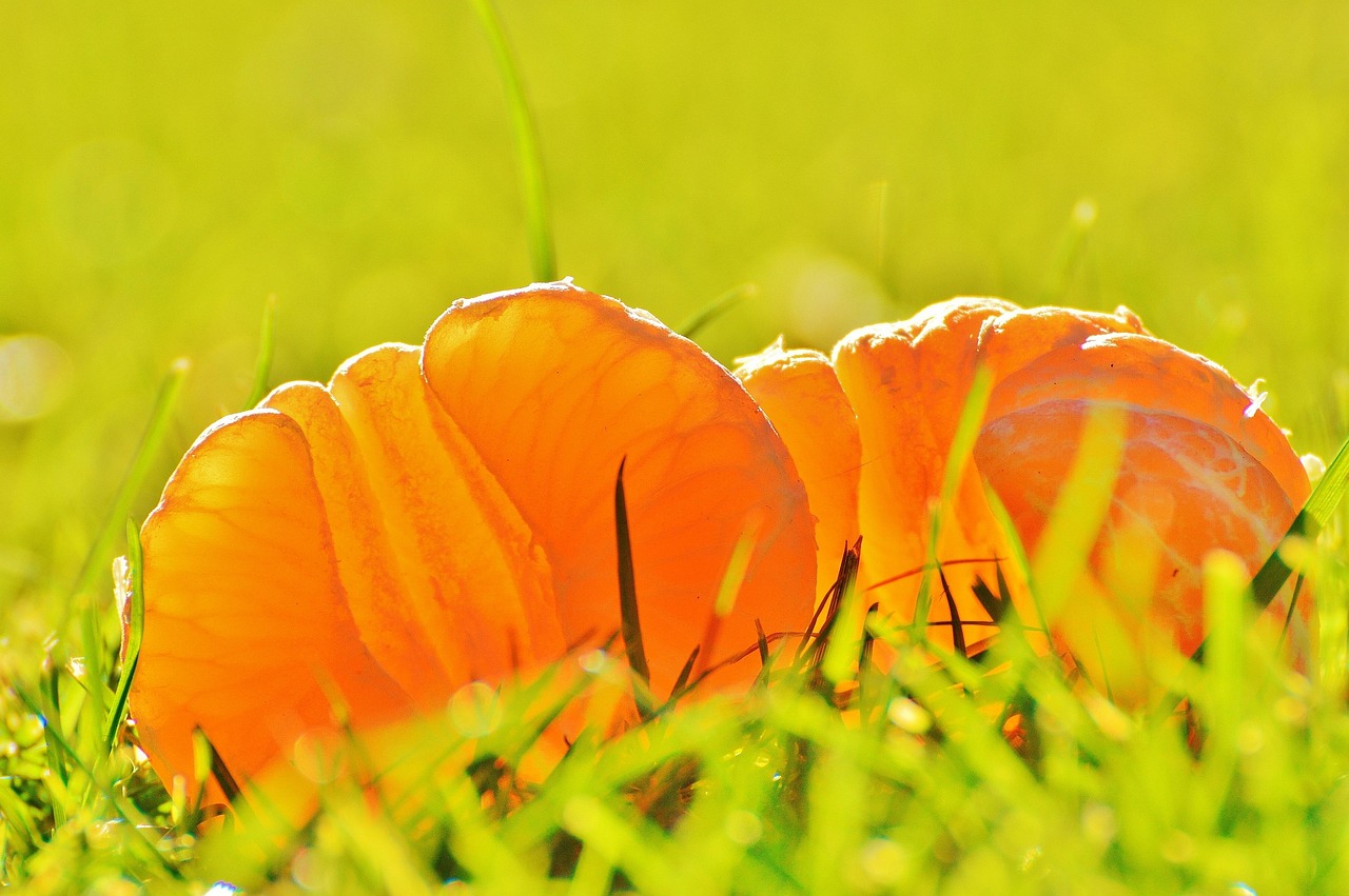 熱門福利視頻最新動態(tài)探索與深度內(nèi)容速遞