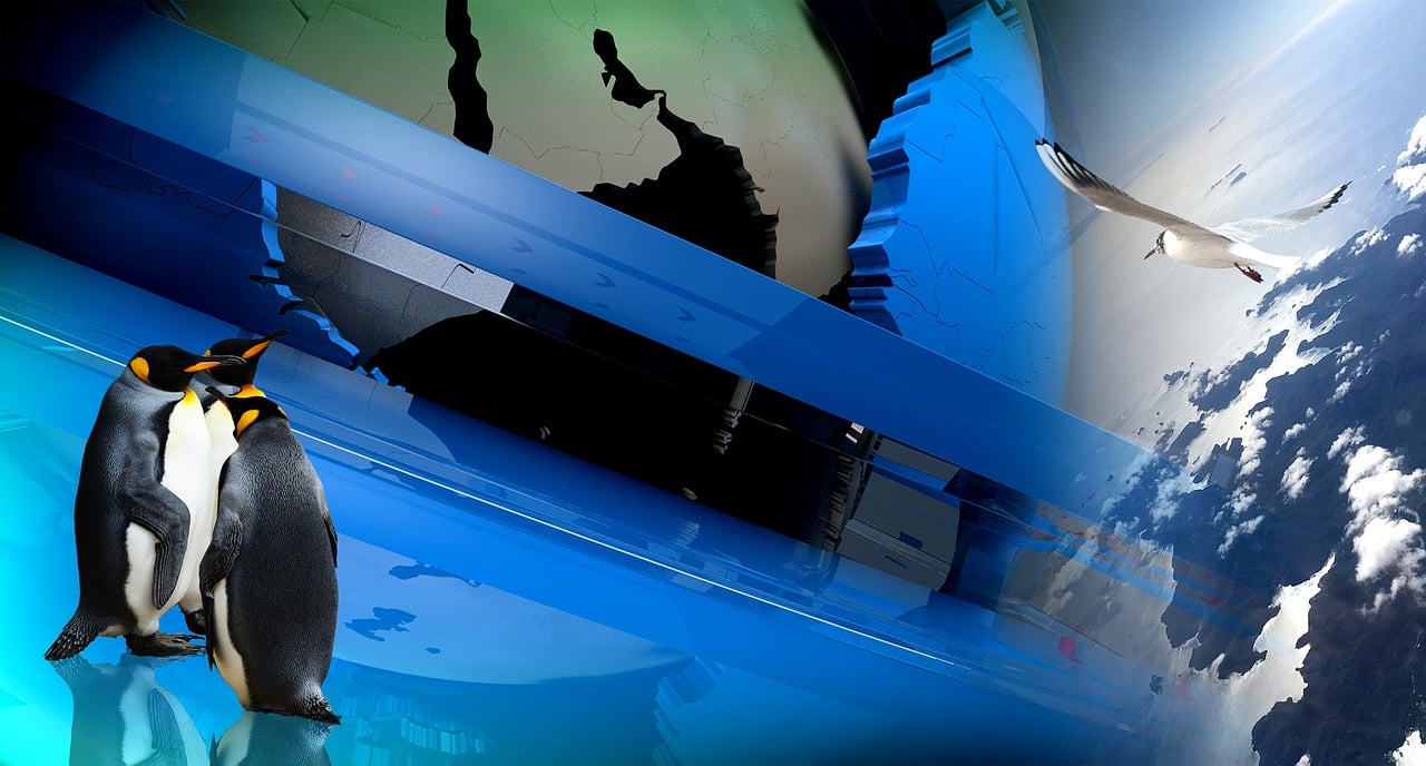 豬八戒網(wǎng)上市進(jìn)展，最新動態(tài)與前瞻探索