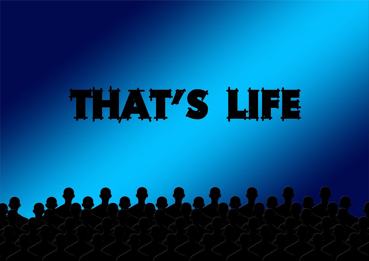 最新電影推薦，影視藝術(shù)的魅力盛宴