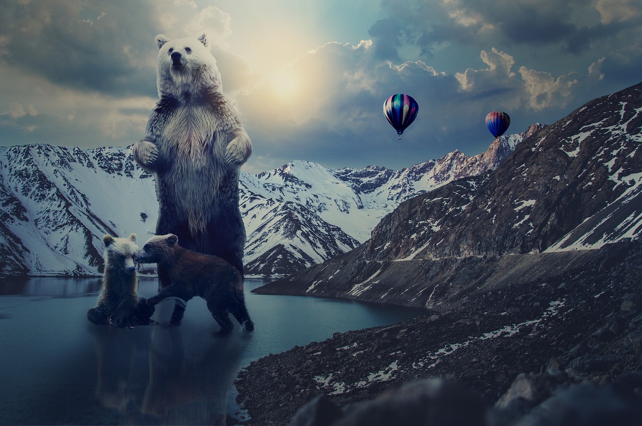 希爾薇最新版下載，探索與體驗之旅