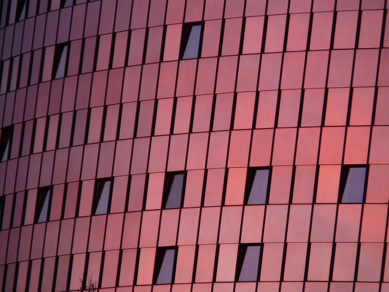 新潮能源最新動態(tài)，引領(lǐng)能源革命的新趨勢