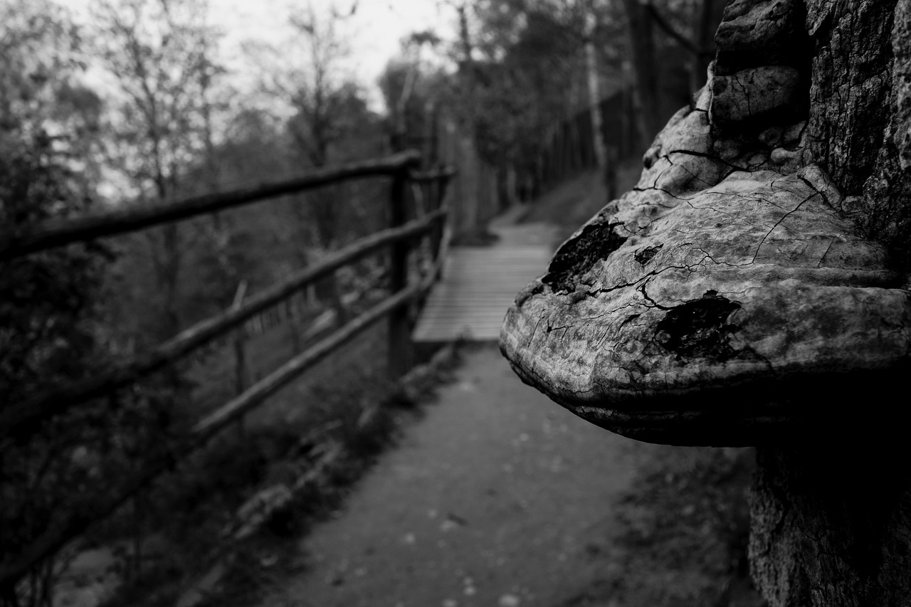 南京地鐵5號(hào)線最新進(jìn)展，建設(shè)動(dòng)態(tài)、線路規(guī)劃與未來展望