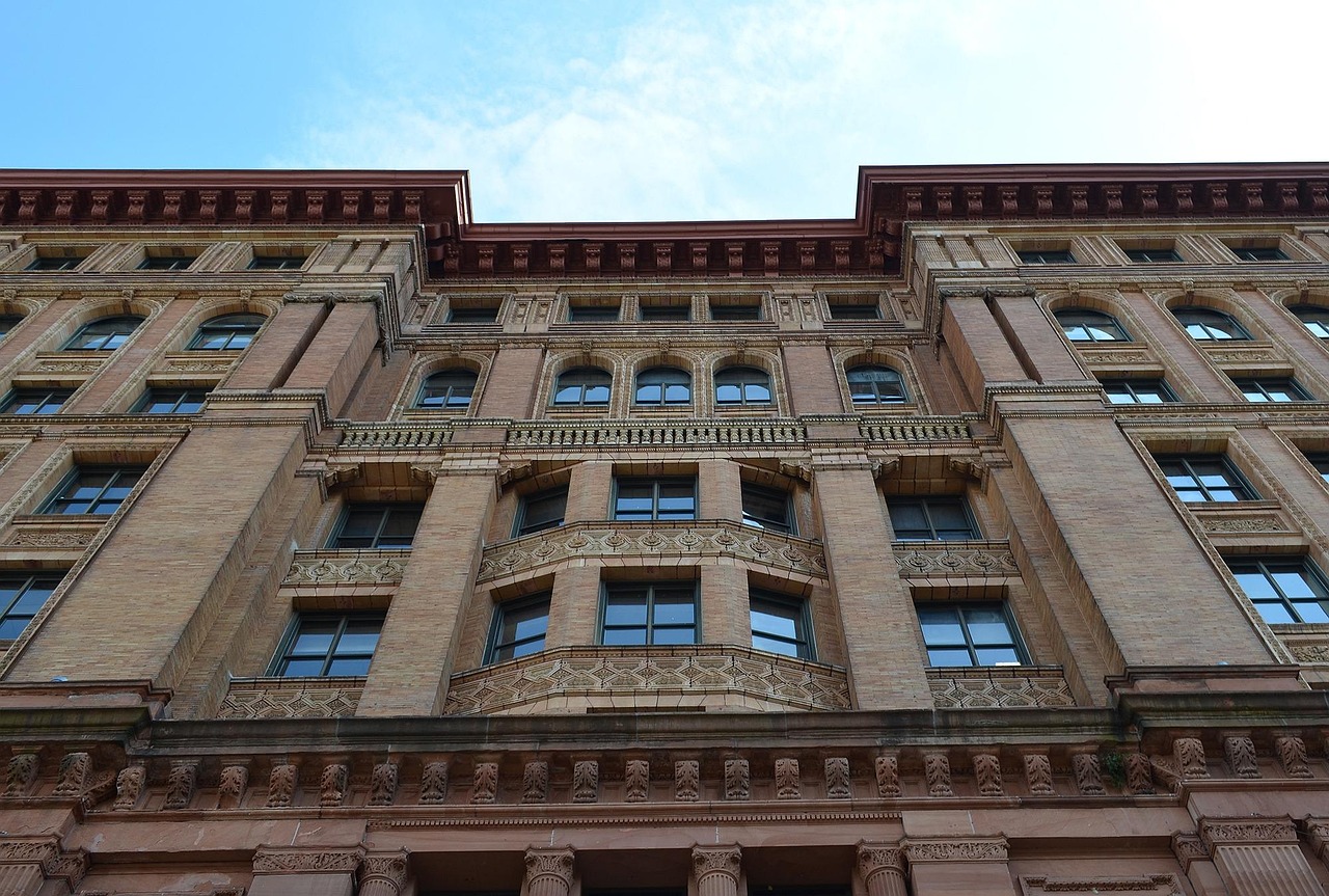 豬肉價格動態(tài)，市場走勢、影響因素及未來展望分析