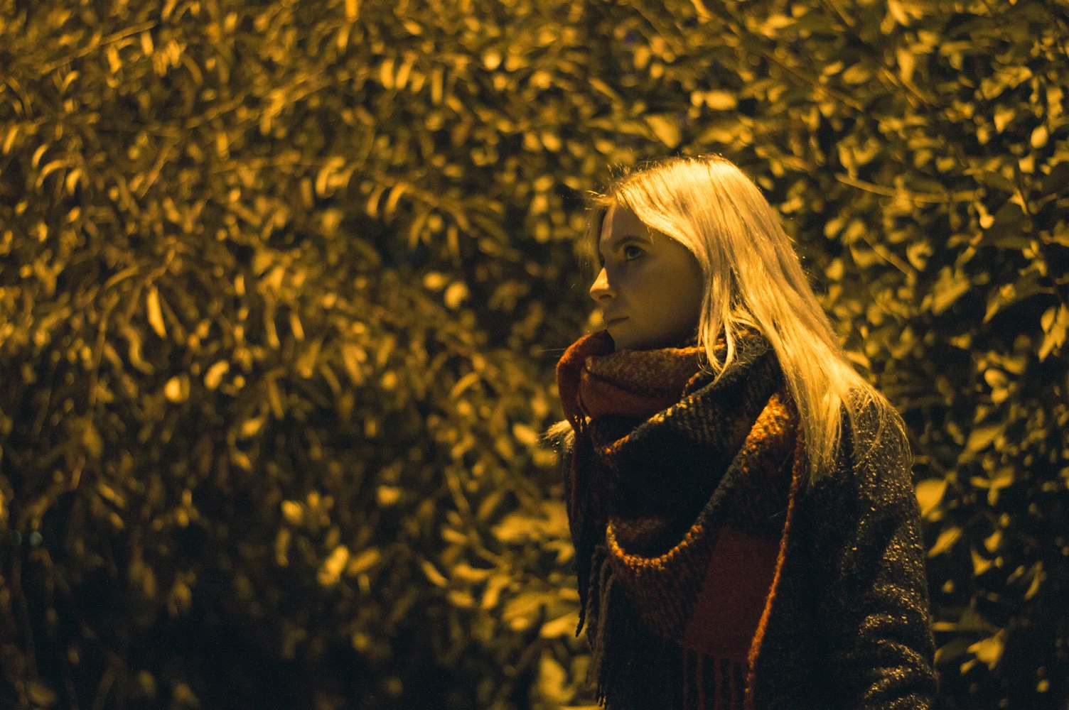 老電影女演員，時光里的璀璨星辰記憶