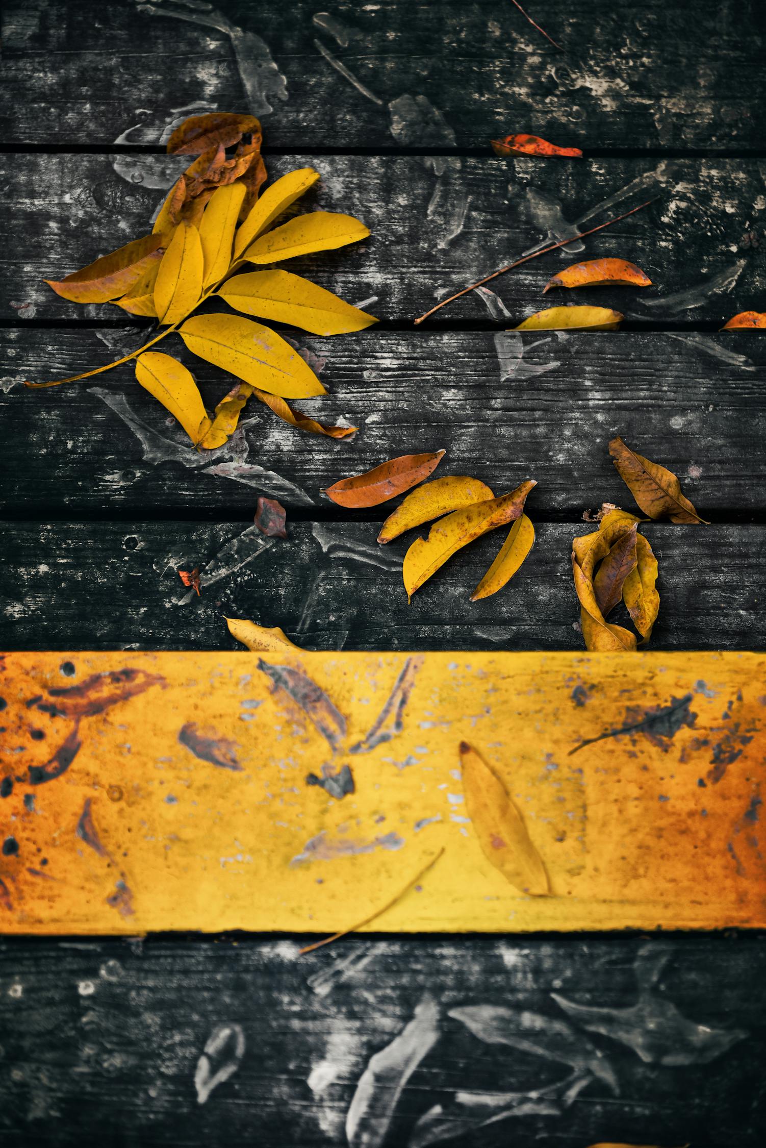 創(chuàng)作指南，打造無色情內(nèi)容的優(yōu)質(zhì)文章標(biāo)題