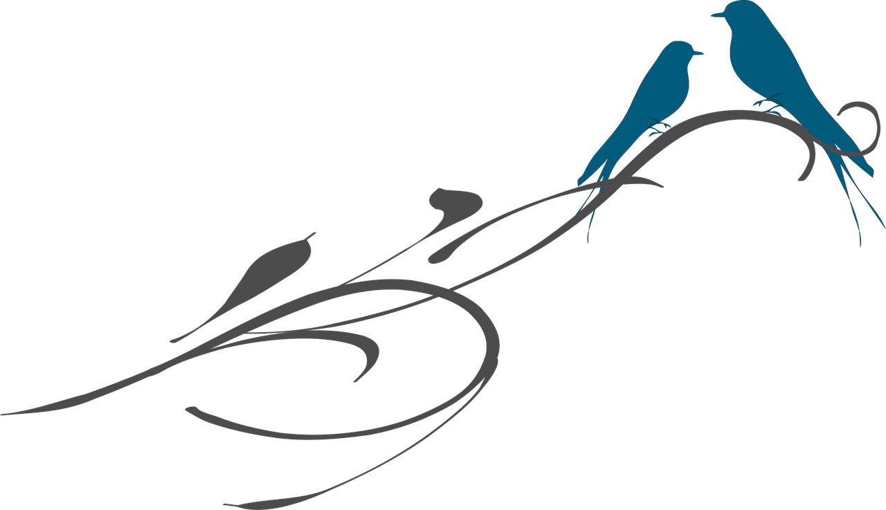 愛之藍(lán)米粉最新動態(tài)揭秘，深度解讀與探索之旅