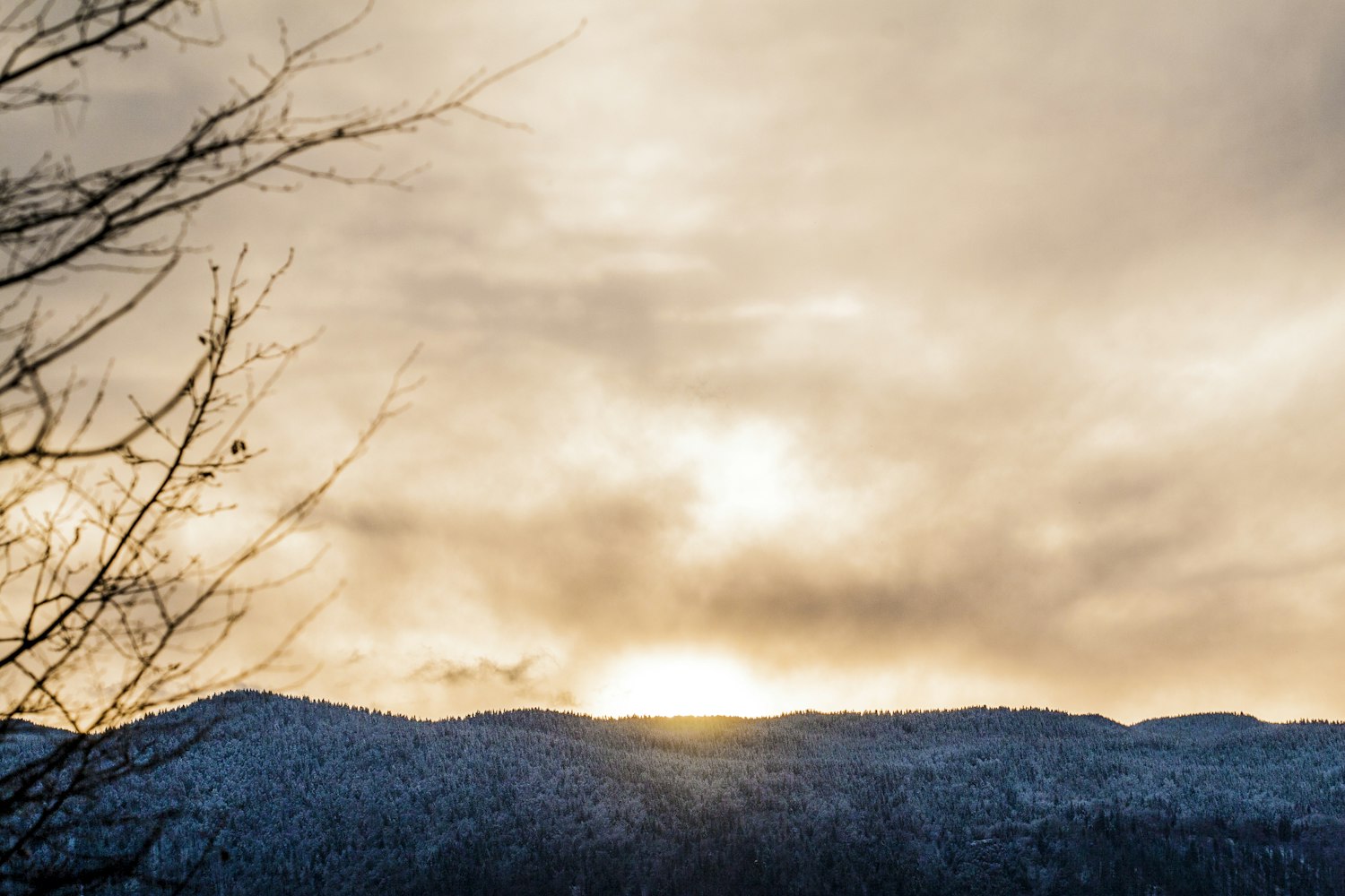 溫暖陽光下的美好瞬間，最新下午好圖片精選
