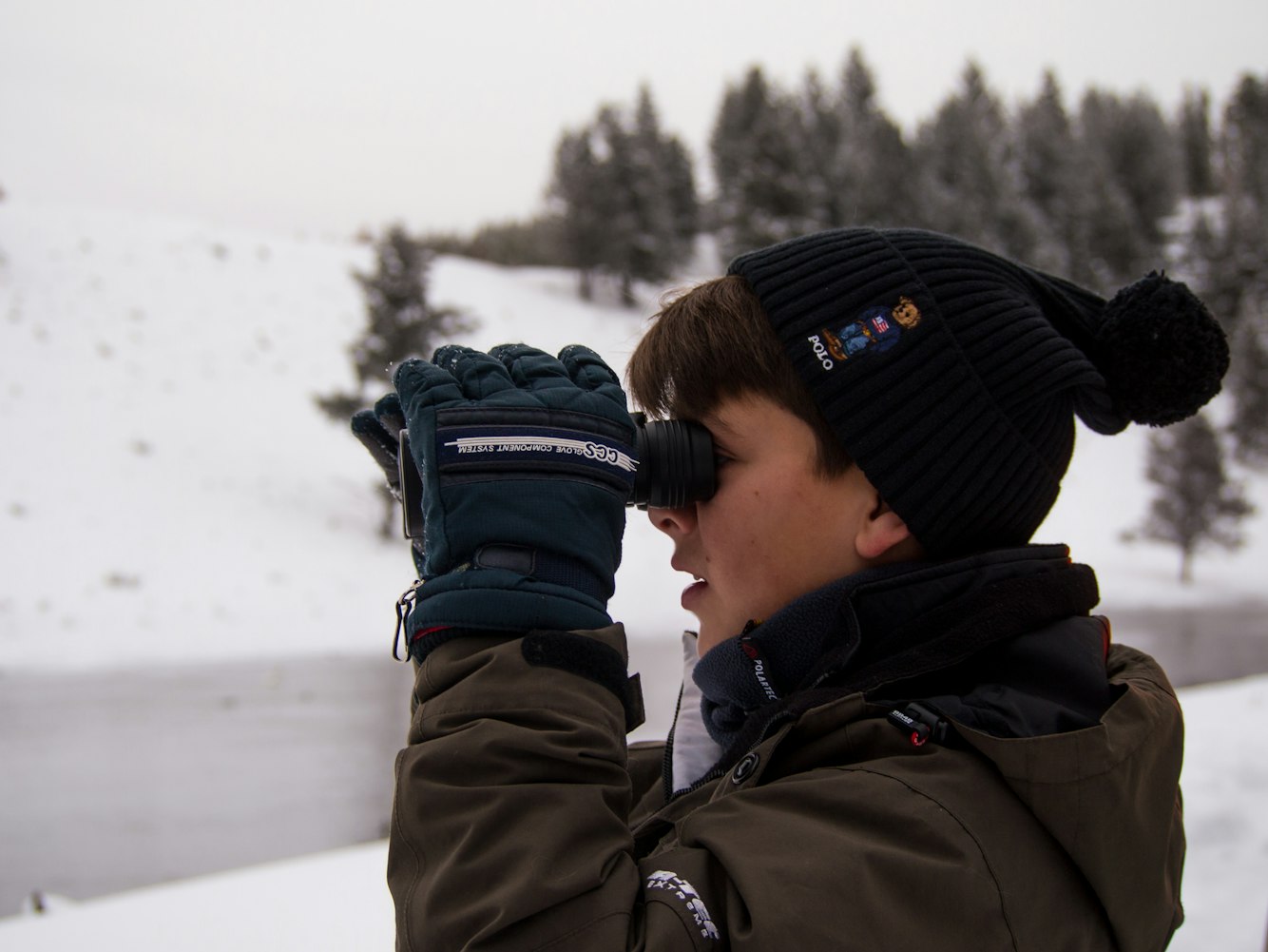 多蘿茜的新動態(tài)，探索未知的旅程進(jìn)展