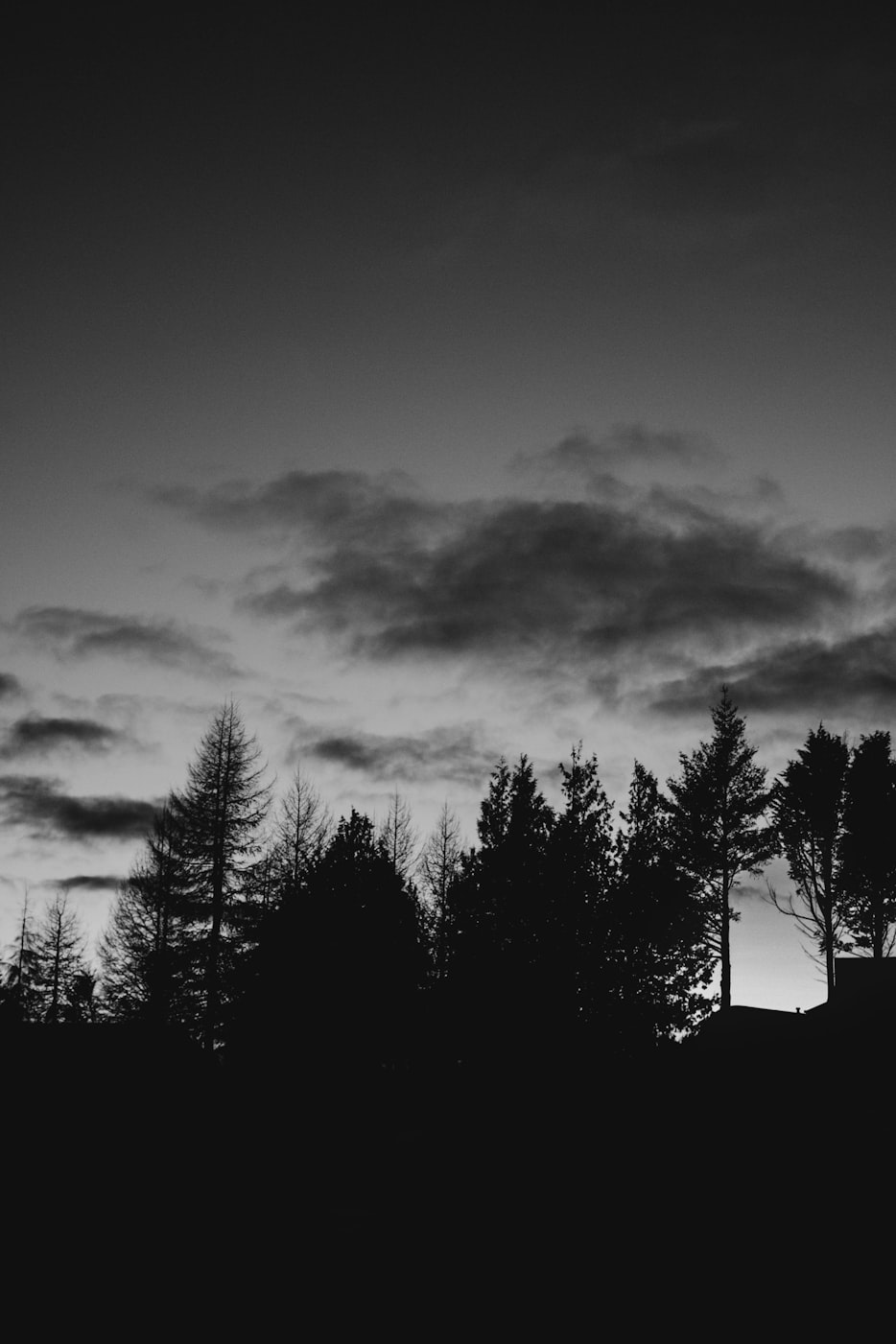 電影黑俠，英雄與命運的交織之旅