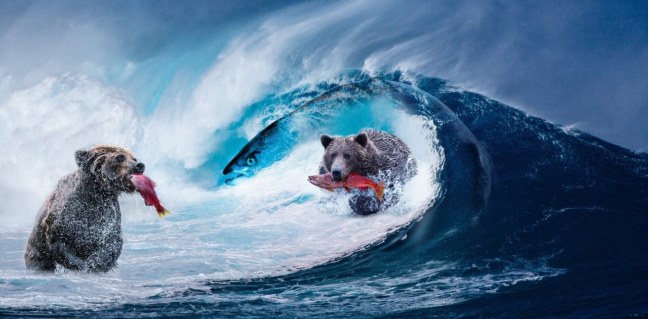 一錘定音最新一期精彩瞬間回顧