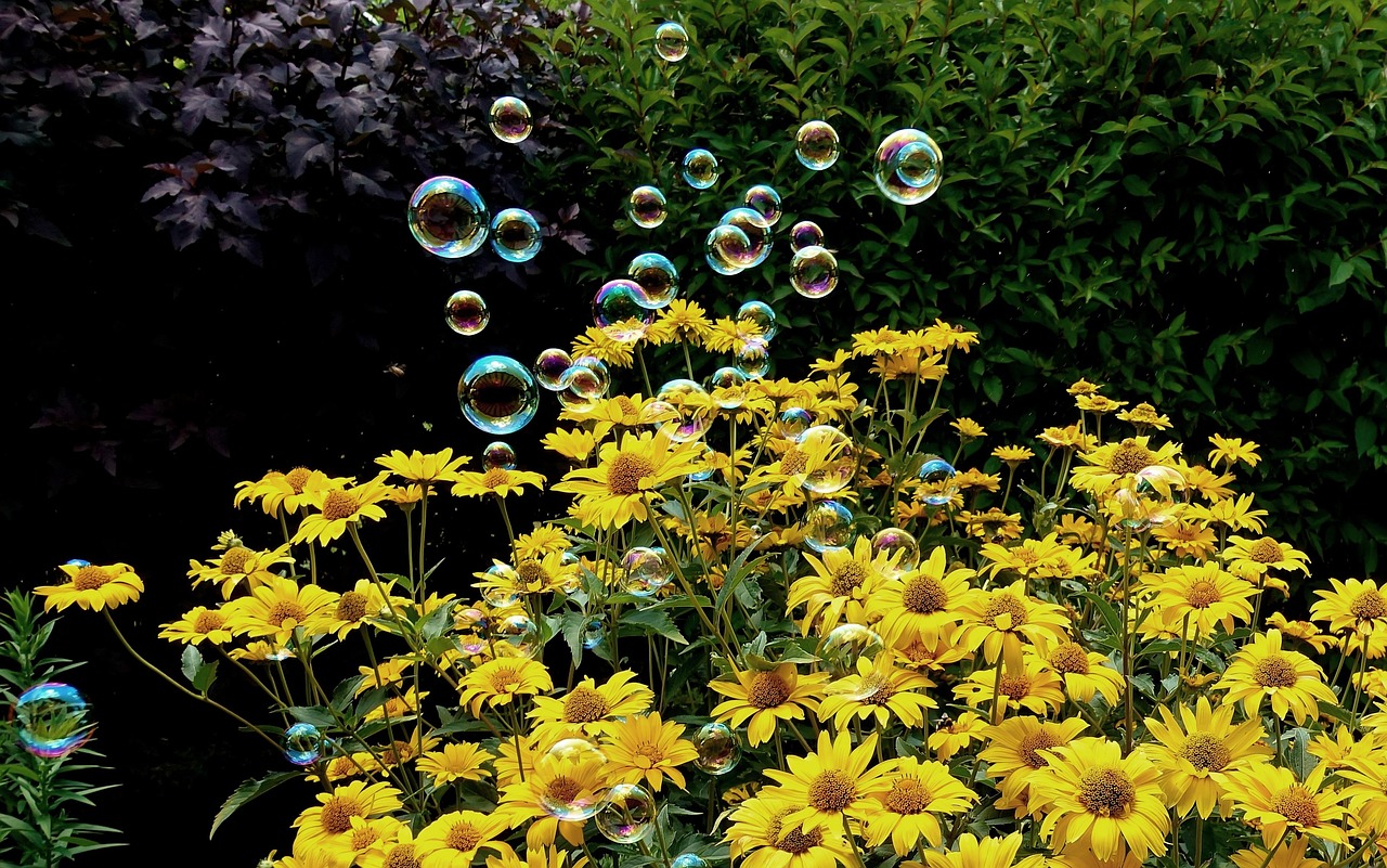 海興縣2017年最新房源信息深度解析及房源最新動(dòng)態(tài)