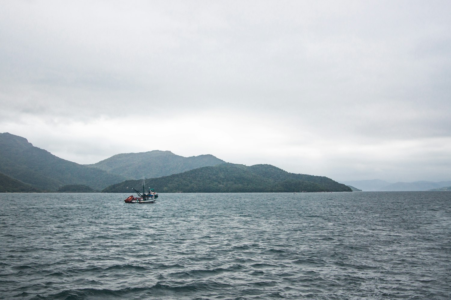 三本先生最新垂釣視頻,探索垂釣新樂趣