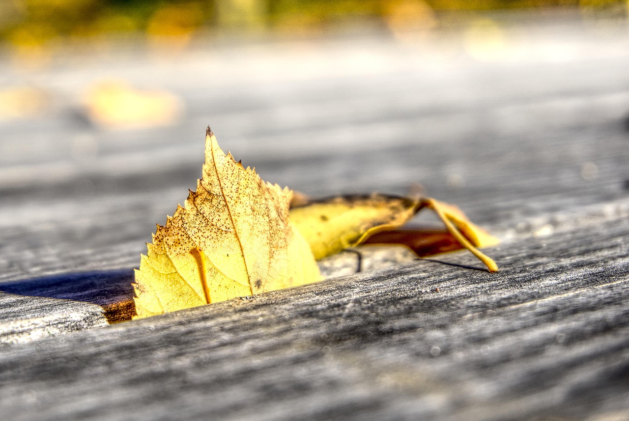 上海凱寶股票實(shí)時(shí)動(dòng)態(tài)及分析