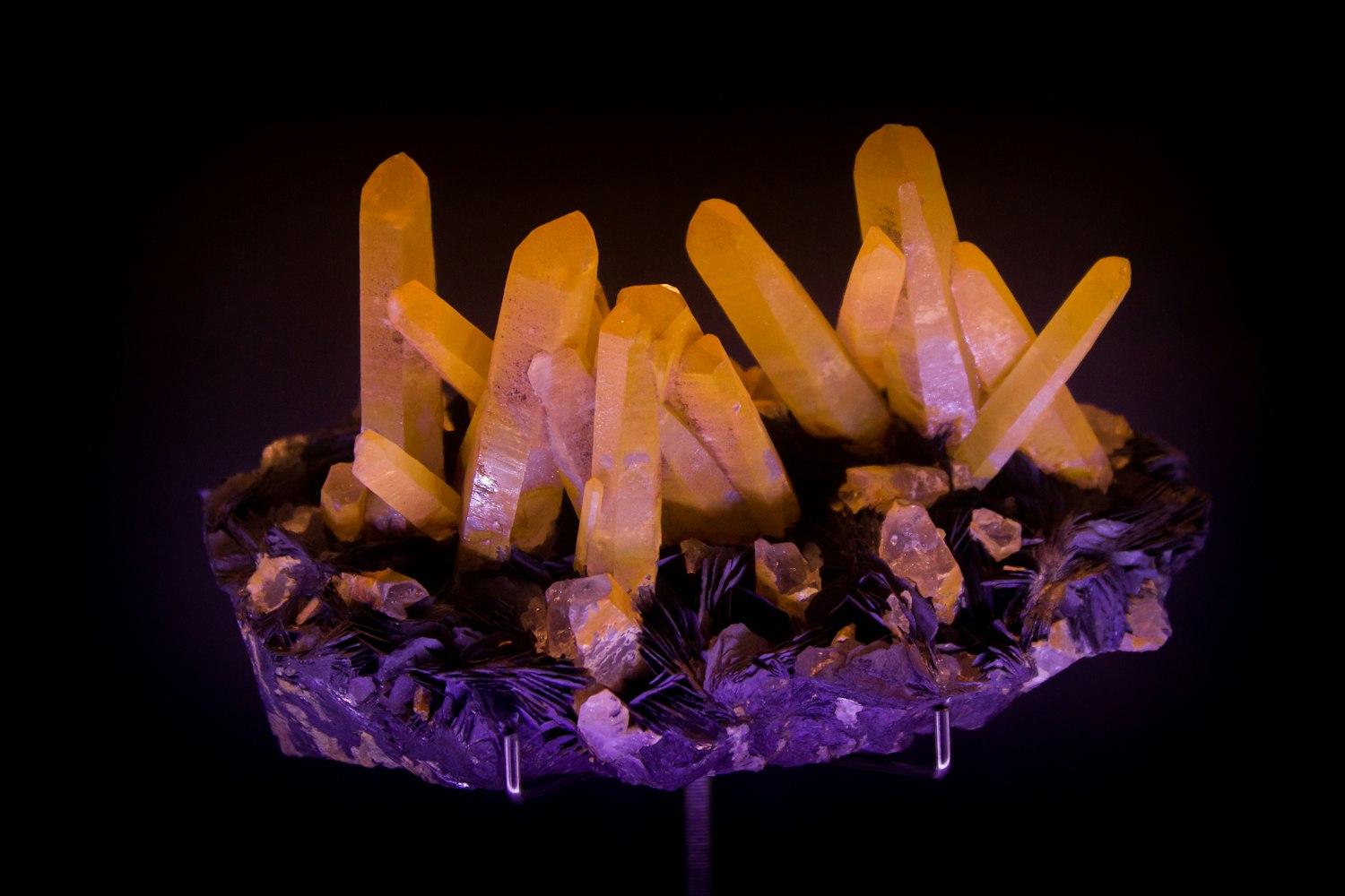 麻城動態(tài)資訊,把握城市發(fā)展脈搏,展現(xiàn)城市活力