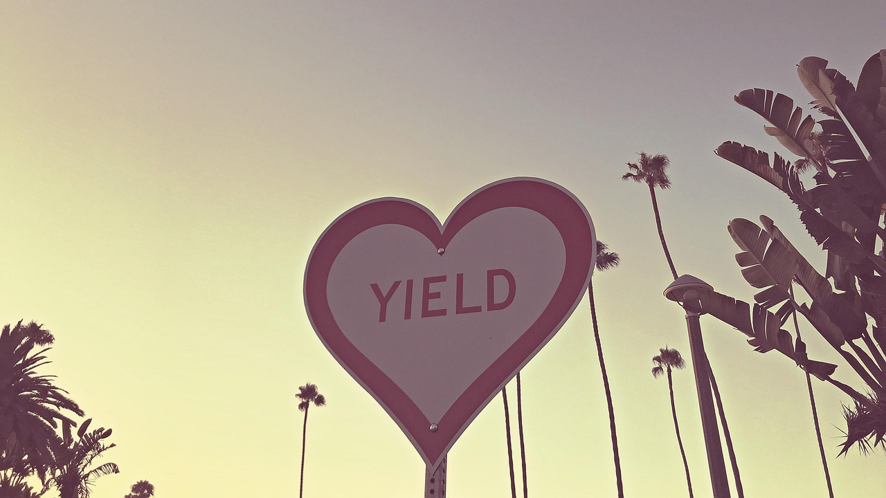 戀愛(ài)冒險(xiǎn)動(dòng)漫，情感與冒險(xiǎn)的完美交融