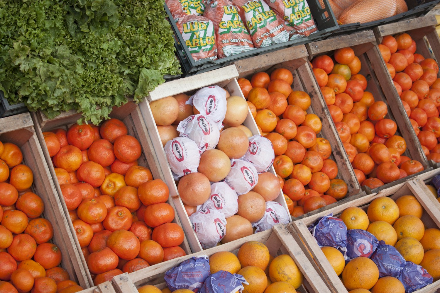 最新萵筍價(jià)格動(dòng)態(tài)與市場(chǎng)分析概覽