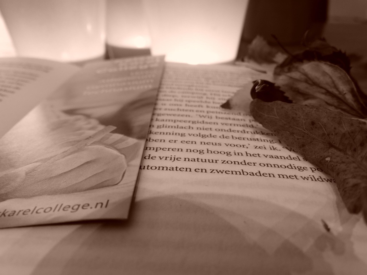 最新小說(shuō)出版,探索文學(xué)的新疆界