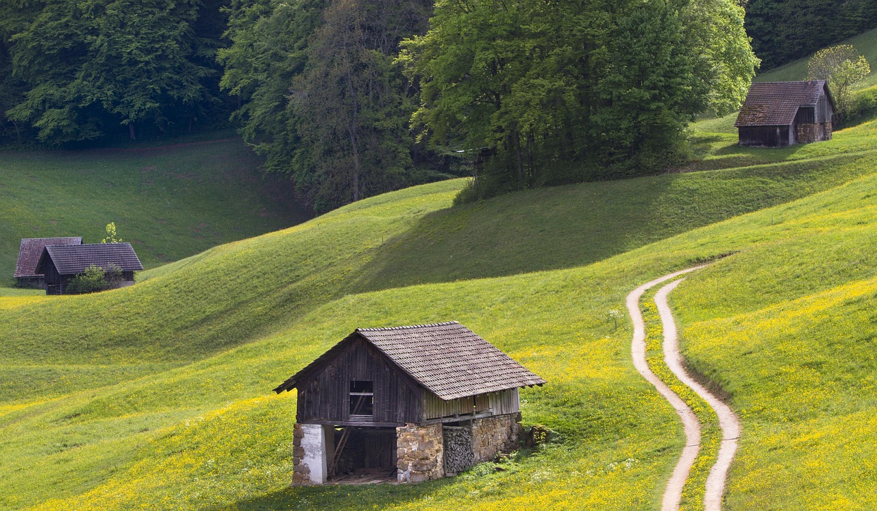 大北農(nóng)集團(tuán)引領(lǐng)農(nóng)業(yè)科技創(chuàng)新,助力農(nóng)業(yè)現(xiàn)代化,最新動(dòng)態(tài)揭秘