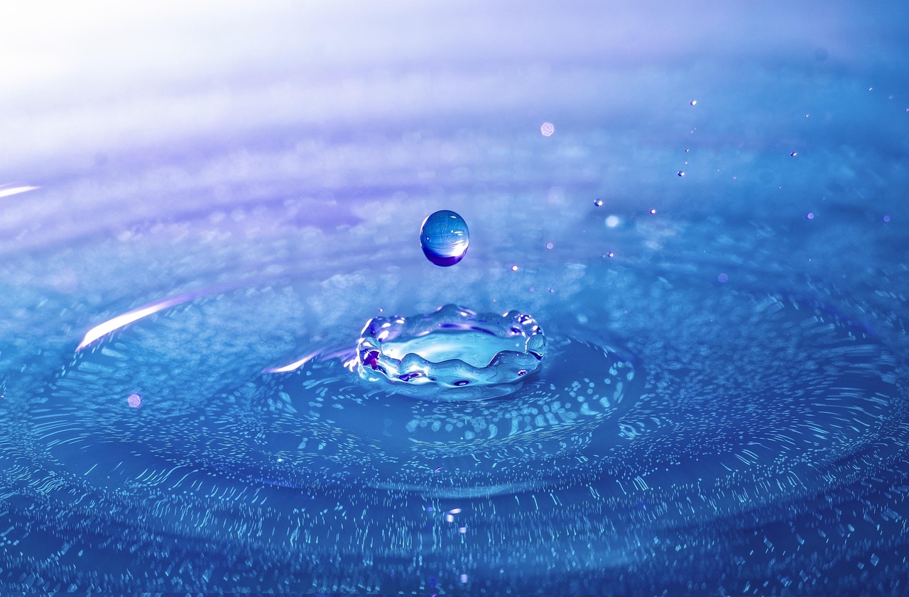 金大地悅府最新動(dòng)態(tài),深度解讀與前瞻展望