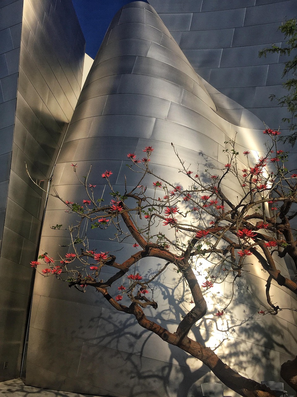 八卦嶺改造最新動(dòng)態(tài),城市更新步伐加快,社區(qū)發(fā)展未來展望