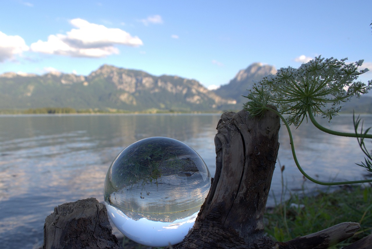 全球職業(yè)拳擊最新動(dòng)態(tài)，熱血激戰(zhàn)與未來展望