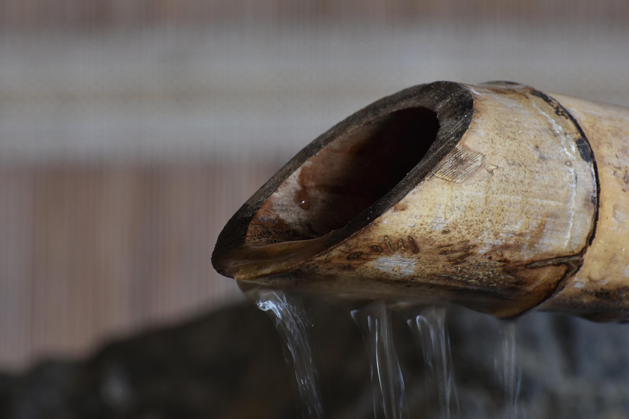 洪江區(qū)最新資訊概覽，最新動(dòng)態(tài)一網(wǎng)打盡