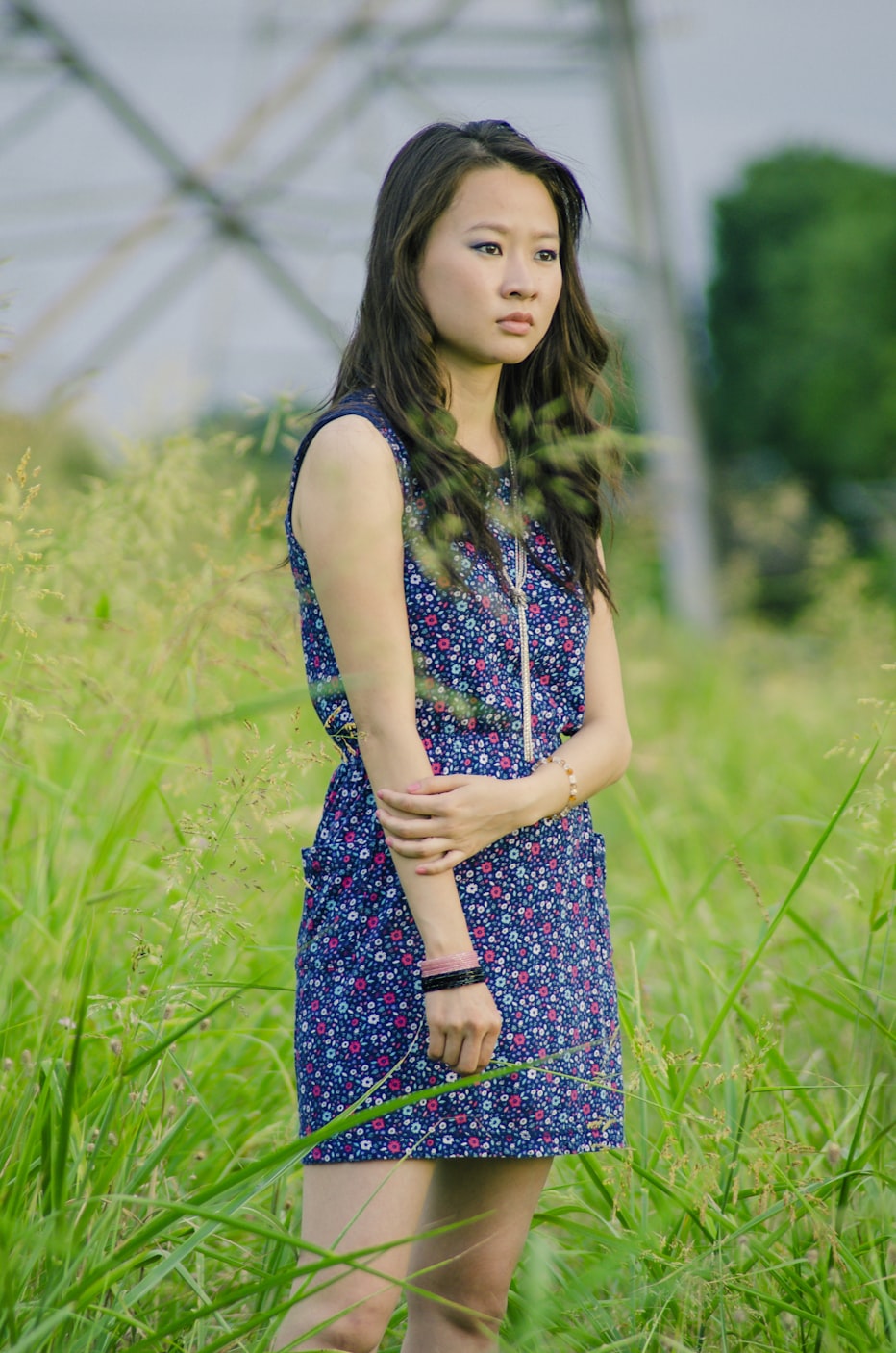 趙麗穎,閃耀的女明星之光之路