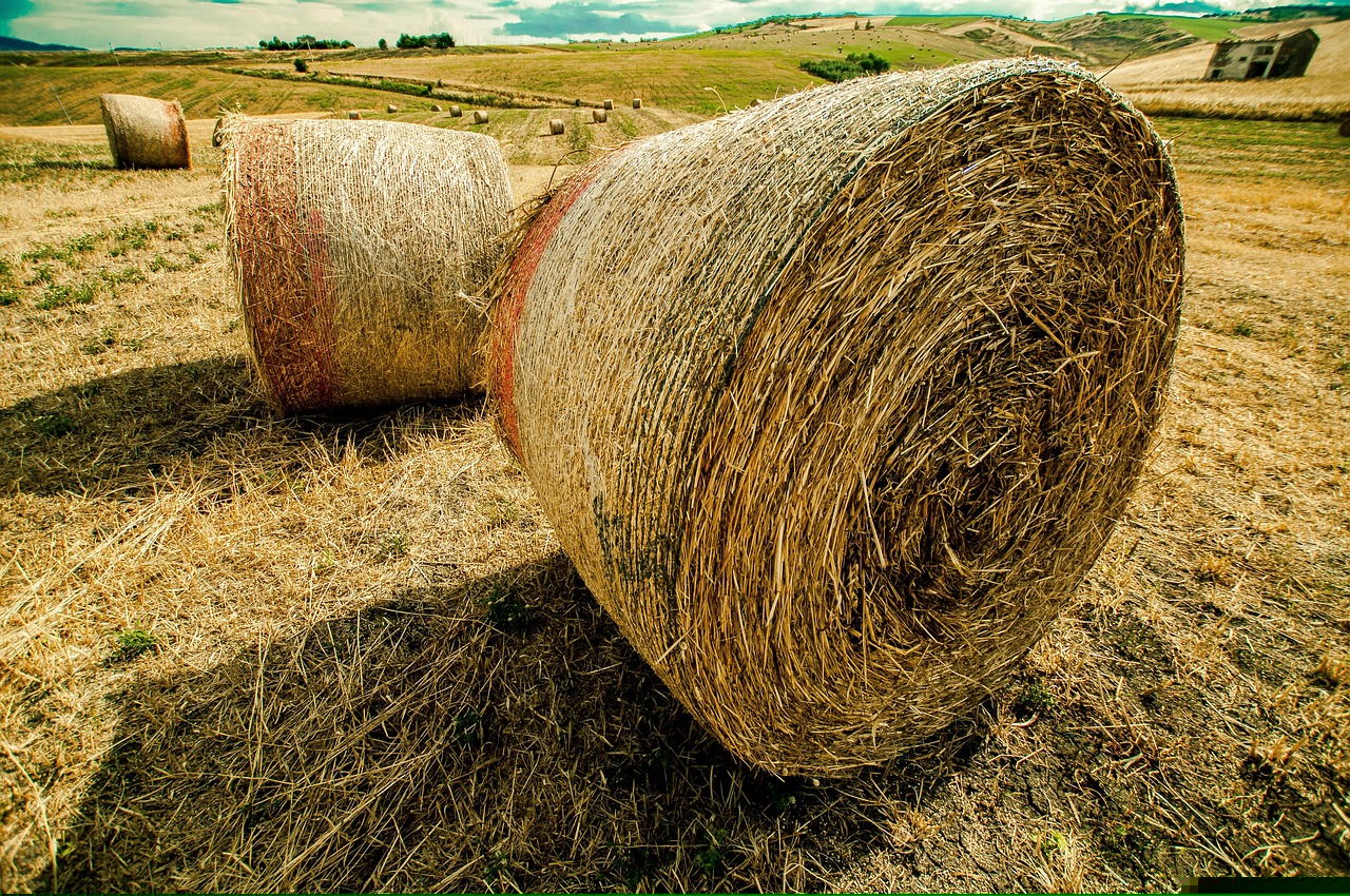 匯滋力奶粉最新動態(tài),引領行業(yè)變革,塑造品質(zhì)未來之路