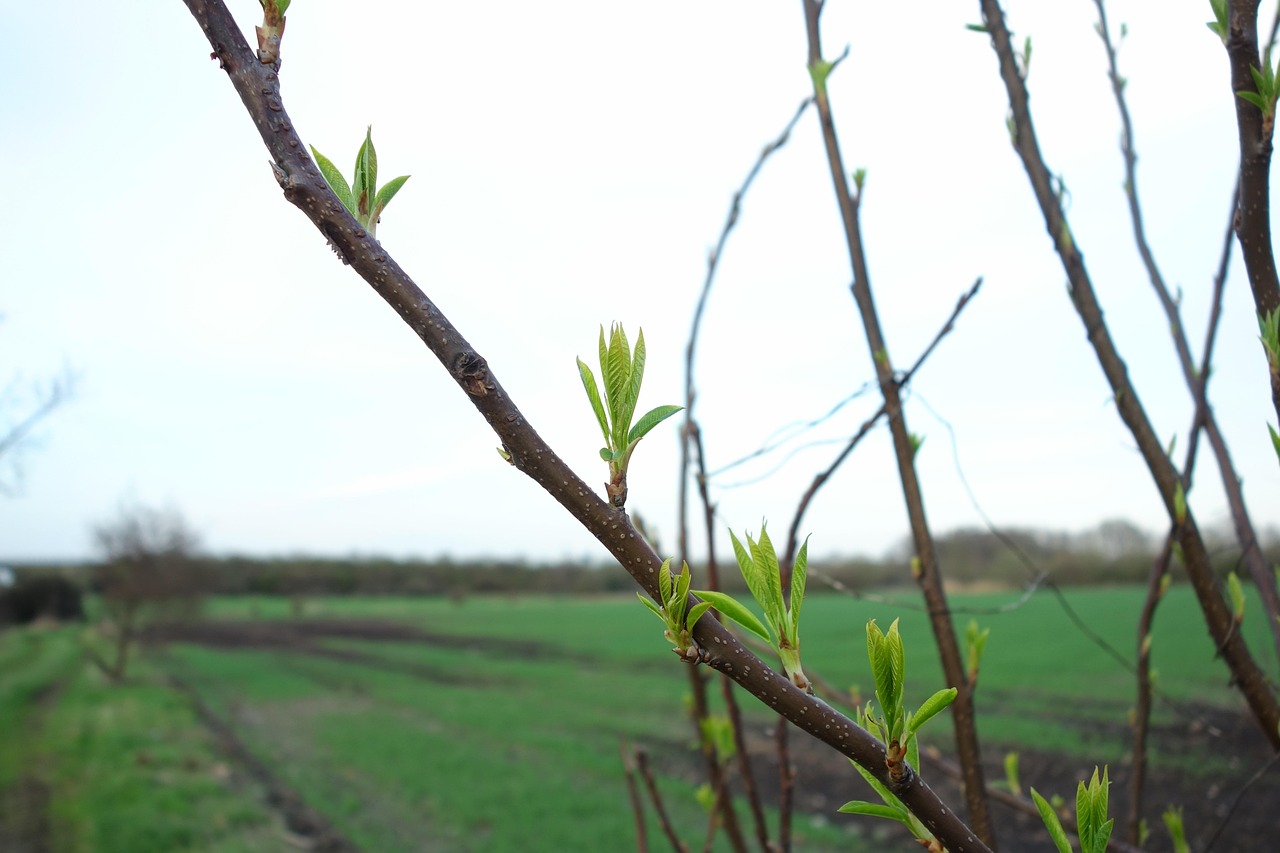 蘭州港務(wù)區(qū)蓬勃發(fā)展助力區(qū)域經(jīng)濟(jì)增長(zhǎng)的最新動(dòng)態(tài)