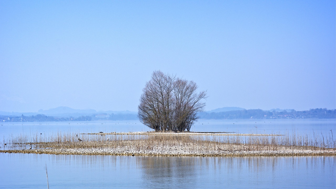 寶山湖最新動(dòng)態(tài),生態(tài)恢復(fù)與休閑體驗(yàn)的新篇章