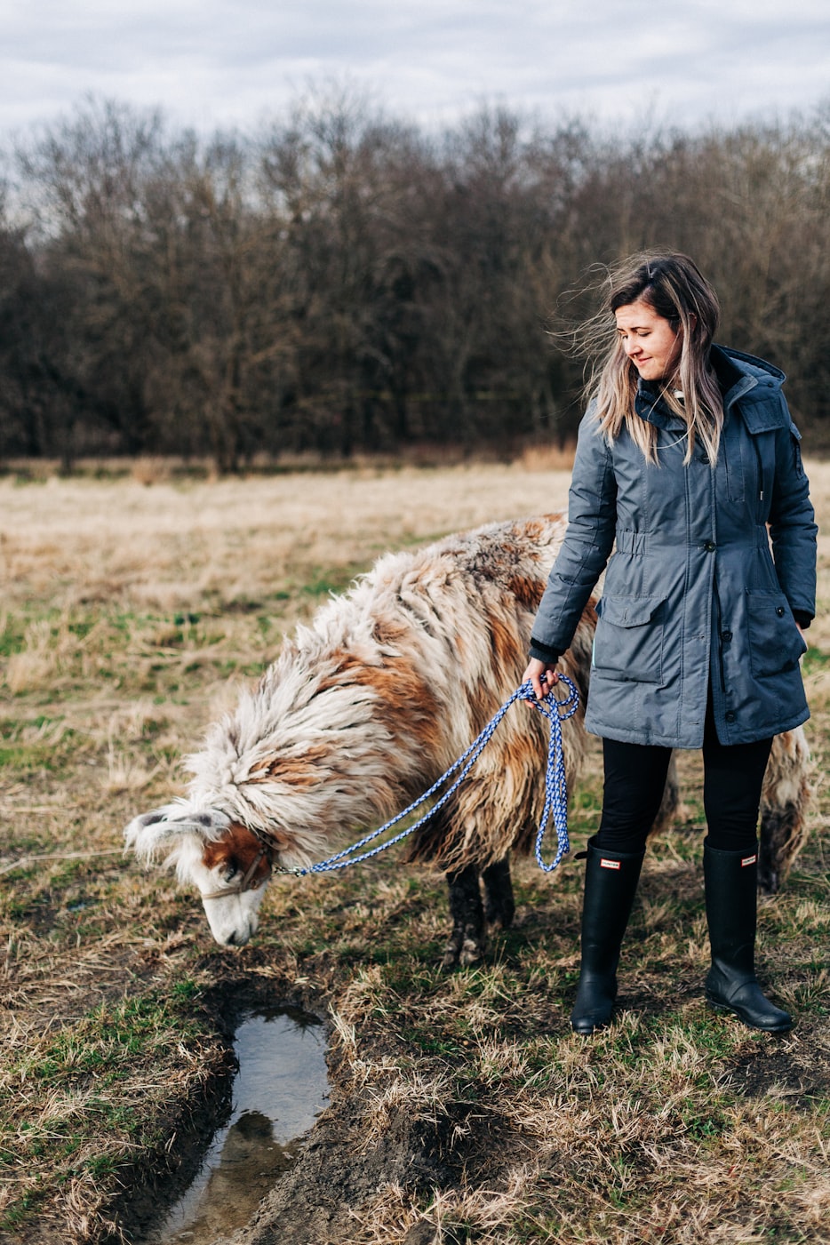 中藍(lán)鯨引領(lǐng)海洋科技,開啟藍(lán)色未來最新動態(tài)