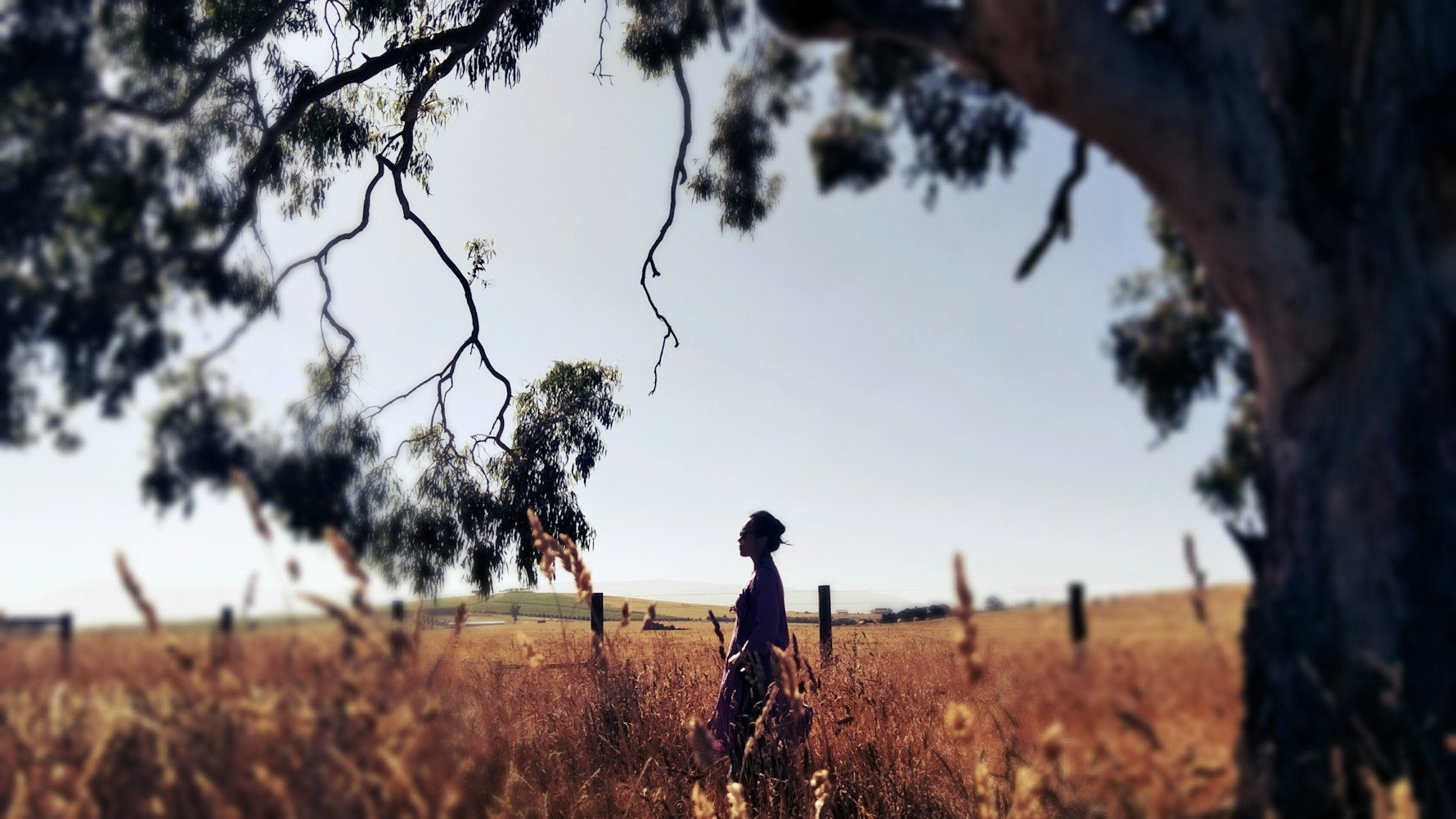 電影殺人回憶深度探究與賞析,在線觀看完整版,揭示故事細節(jié)與情感深度