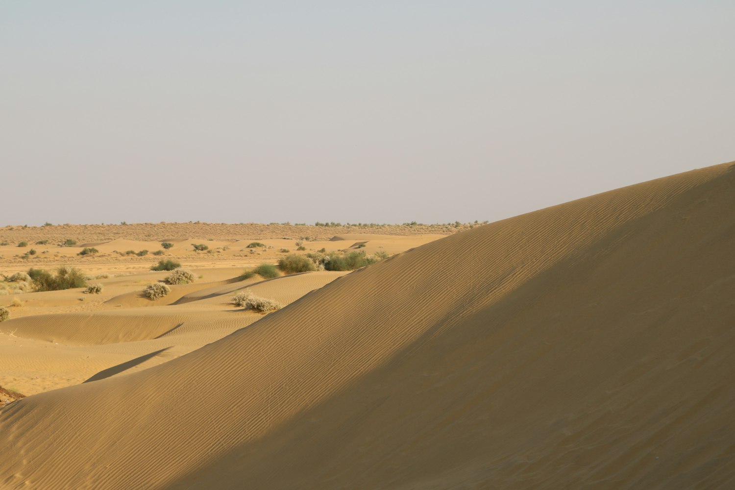 湯余銘新作,探索藝術新境界的創(chuàng)意之旅