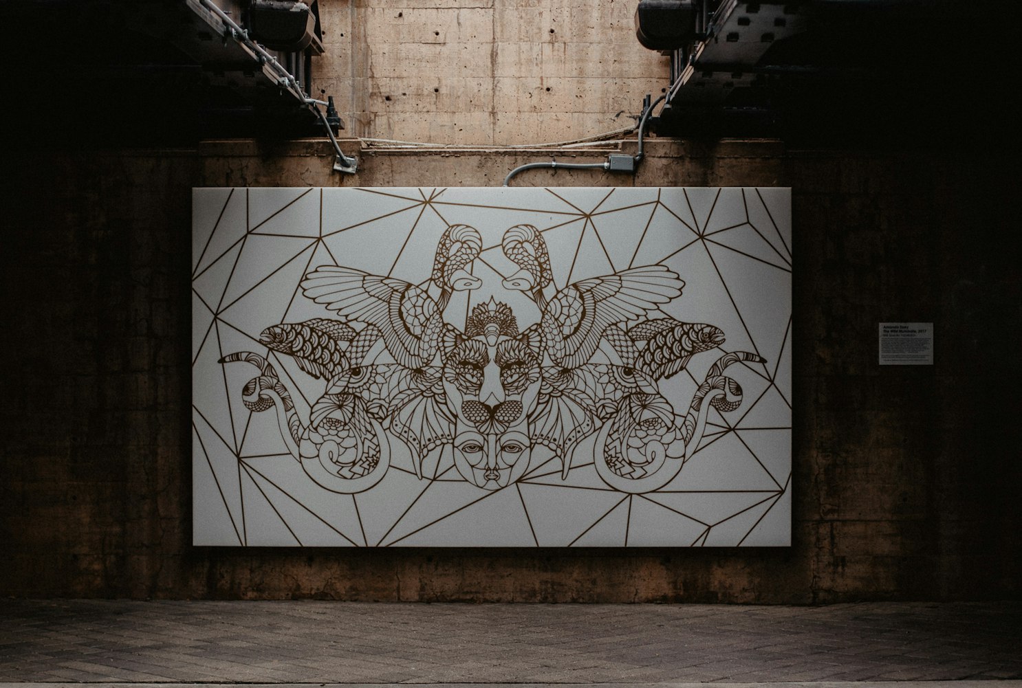 素描前沿,探索藝術(shù)新領(lǐng)域的無限魅力