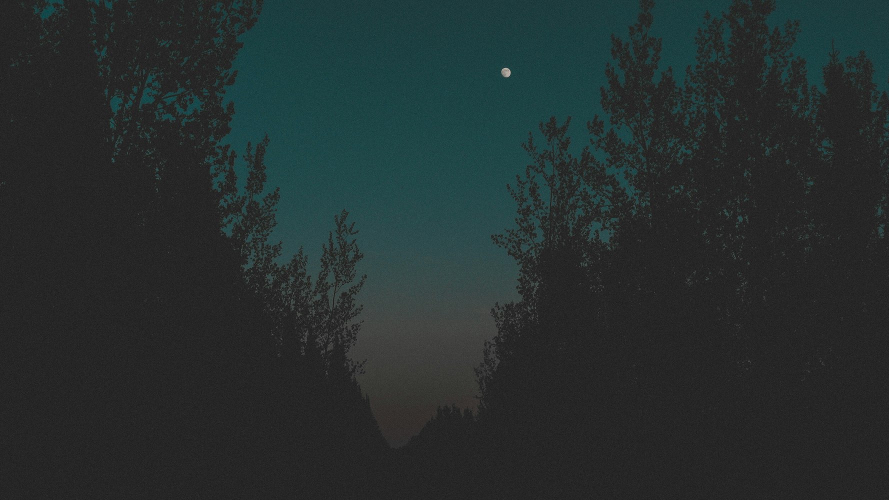 荒野新車資訊,引領(lǐng)未來駕駛新風(fēng)尚的革新動(dòng)態(tài)