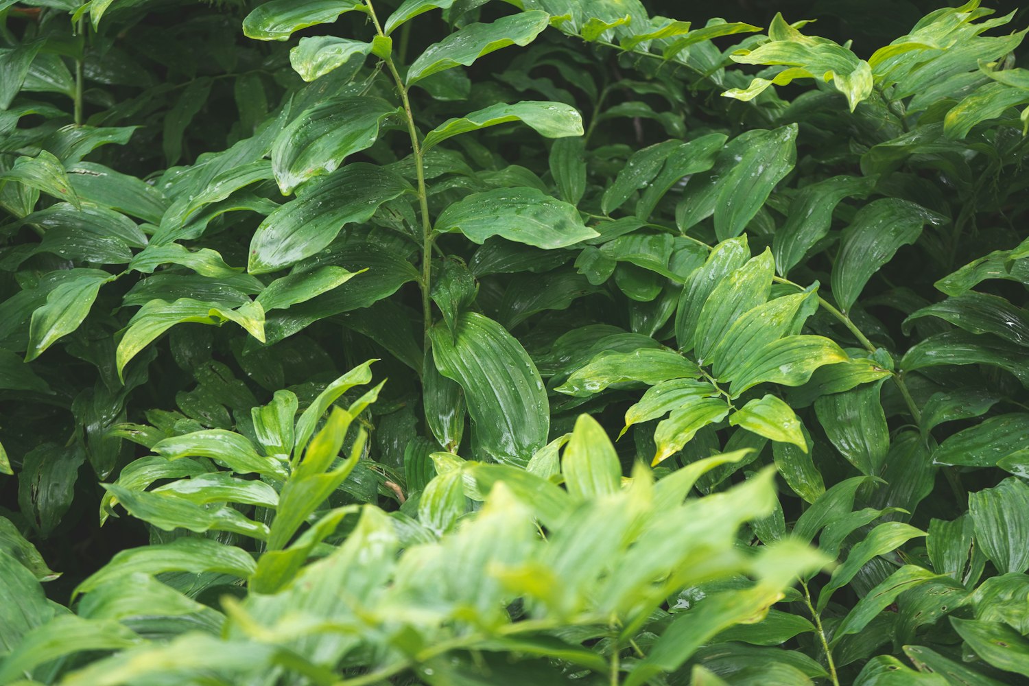 梟谷學(xué)園最新資訊,探索學(xué)府新動(dòng)態(tài),領(lǐng)略獨(dú)特風(fēng)采