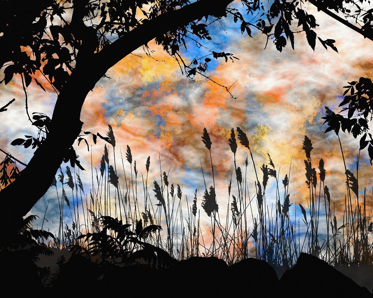 最新情詩賞析,探尋情感深處的詩意之美