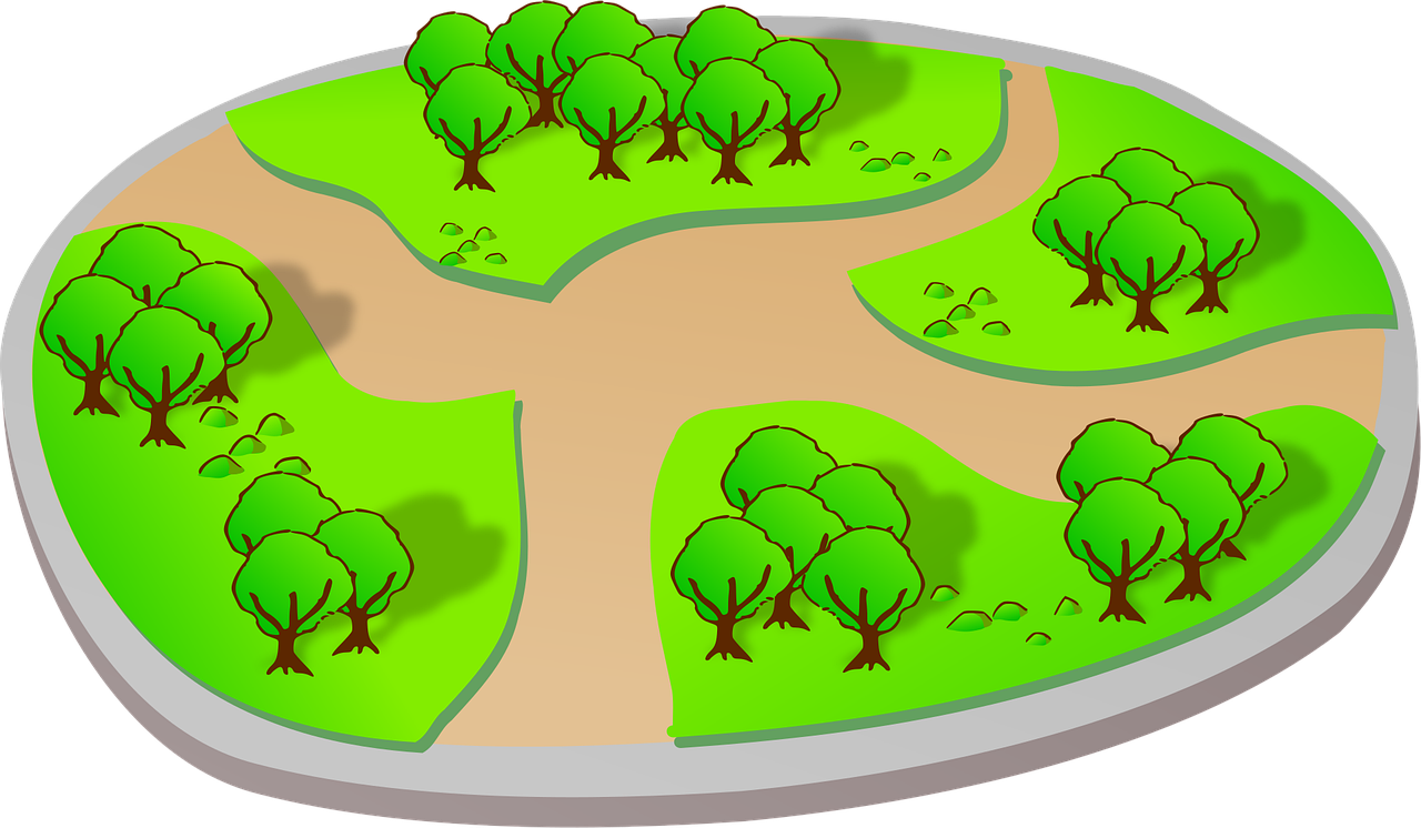 榮盛公園動(dòng)態(tài)更新,自然之美的持續(xù)演變之旅