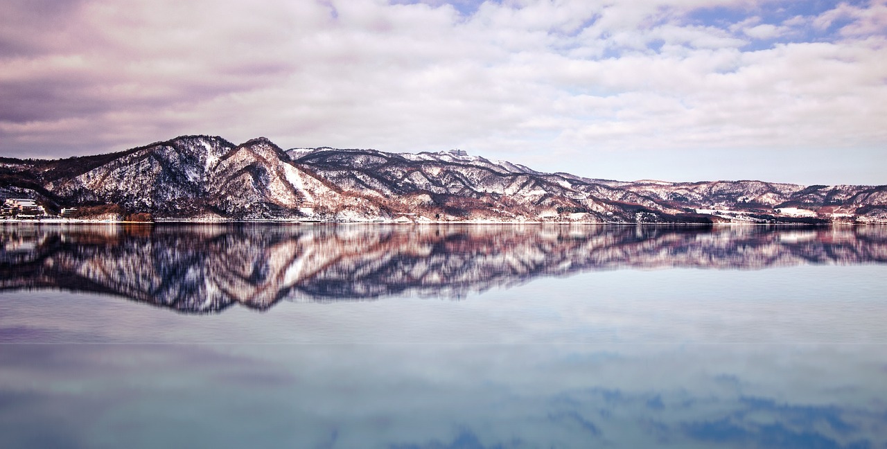 榮盛公園動(dòng)態(tài)更新,自然之美的持續(xù)演變之旅