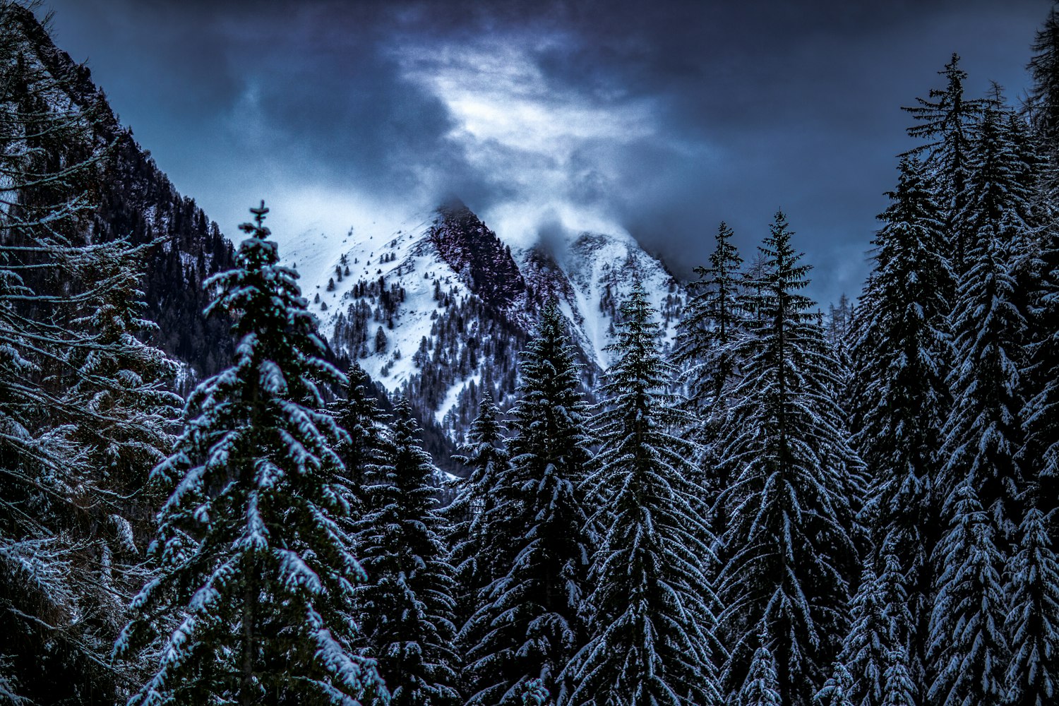 鹽城市最新發(fā)展動(dòng)態(tài)概覽