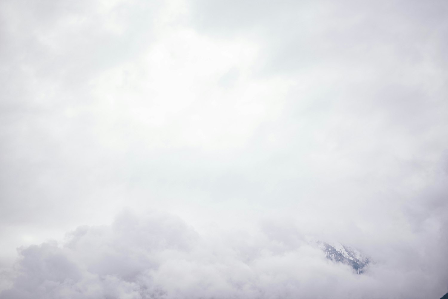 2025年12月12日 第2頁(yè)