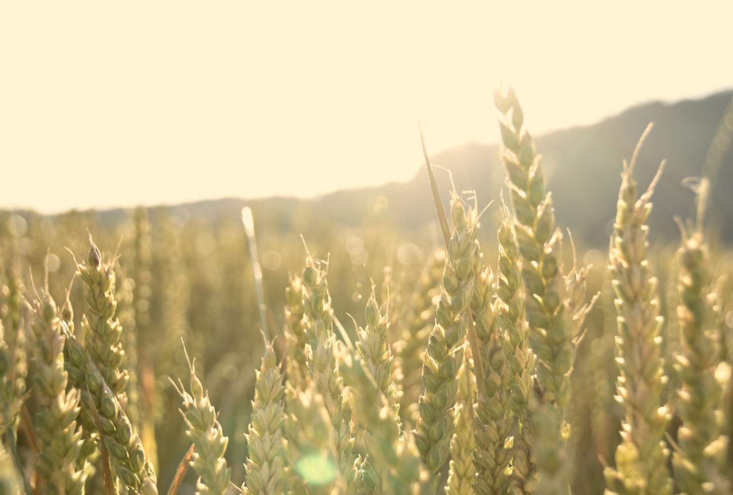 最新暖心文案,溫暖的力量,點(diǎn)亮生活的每個(gè)角落